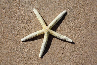 《News Tower》Steam试玩发布 新闻报业经营模拟